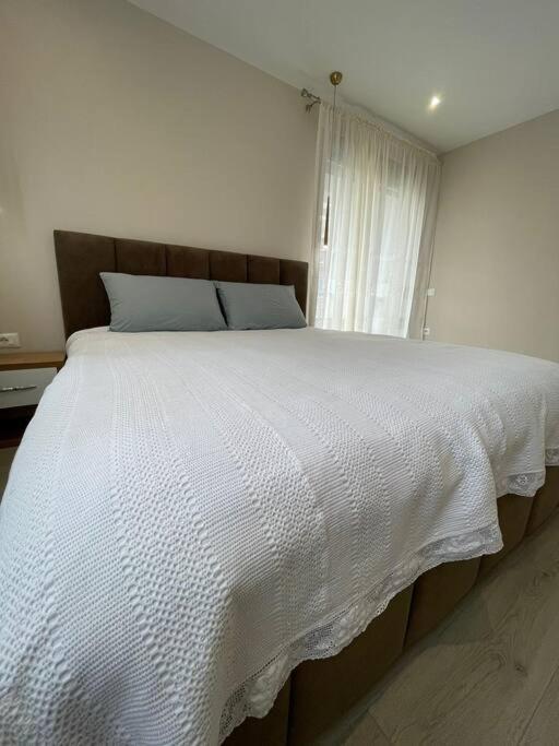 Melody Apartment In Корча Екстер'єр фото
